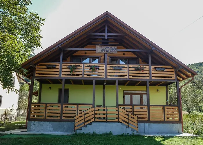 Med'ok Appartement Vyzjnytsja